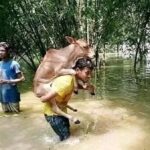 25.08.2024 খাবির ফাউন্ডেশন আছি বন্যার্তদের পার্শ্বে